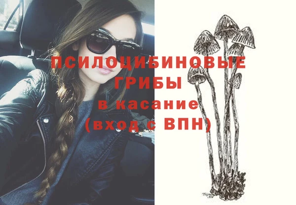 соль ск Остров