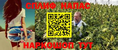 индика Заводоуковск