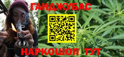 индика Заводоуковск
