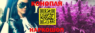 стафф Берёзовский