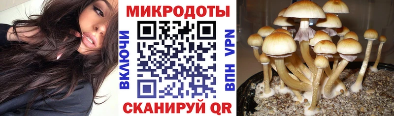 Галлюциногенные грибы мухоморы Россошь