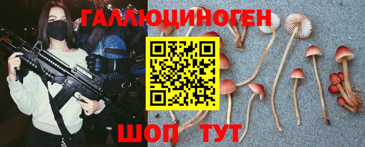 Галлюциногенные грибы MAGIC MUSHROOMS Россошь