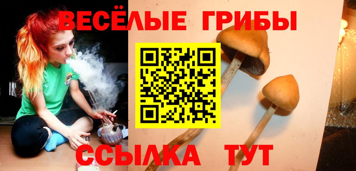 наркота  Галлюциногенные грибы MAGIC MUSHROOMS  Вход с VPN  Россошь 