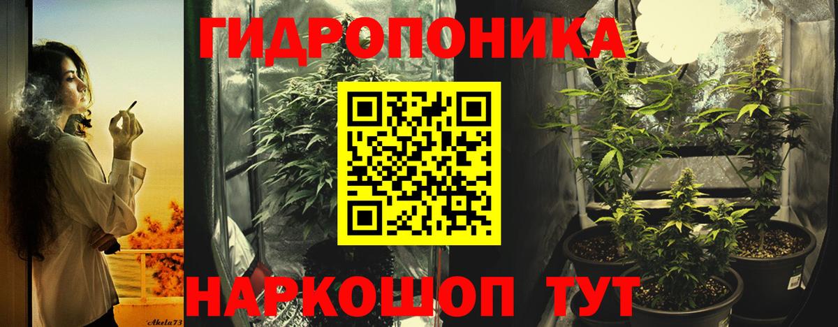 Каннабис MAZAR Россошь